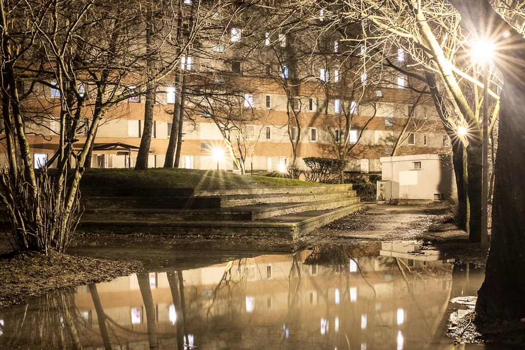 Lumière sous-Bois — photographie 6