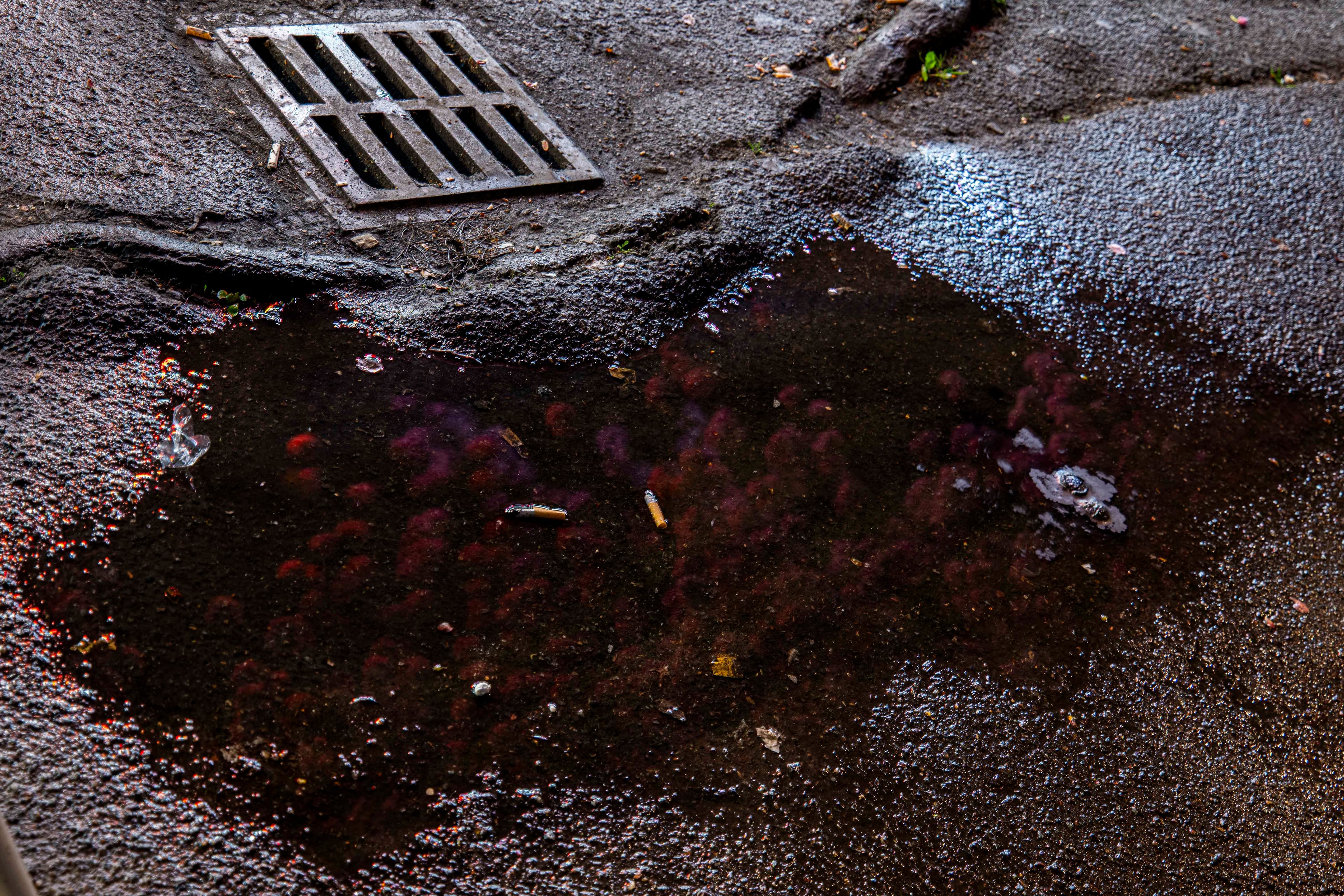 Fuzi Baptista — série RUE — photographie 3