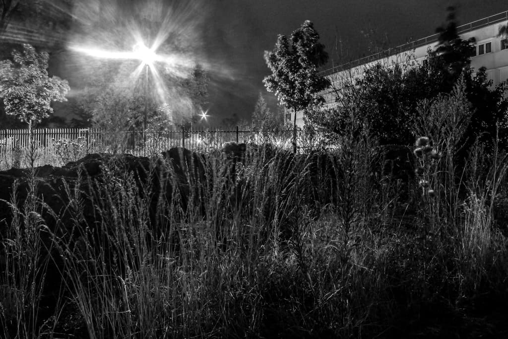 Zone Urbaine Photographique — photographie 6