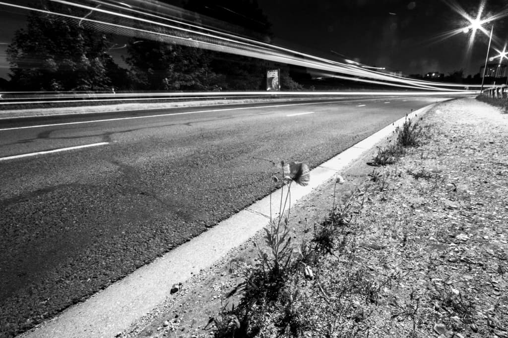 Zone Urbaine Photographique — photographie 16